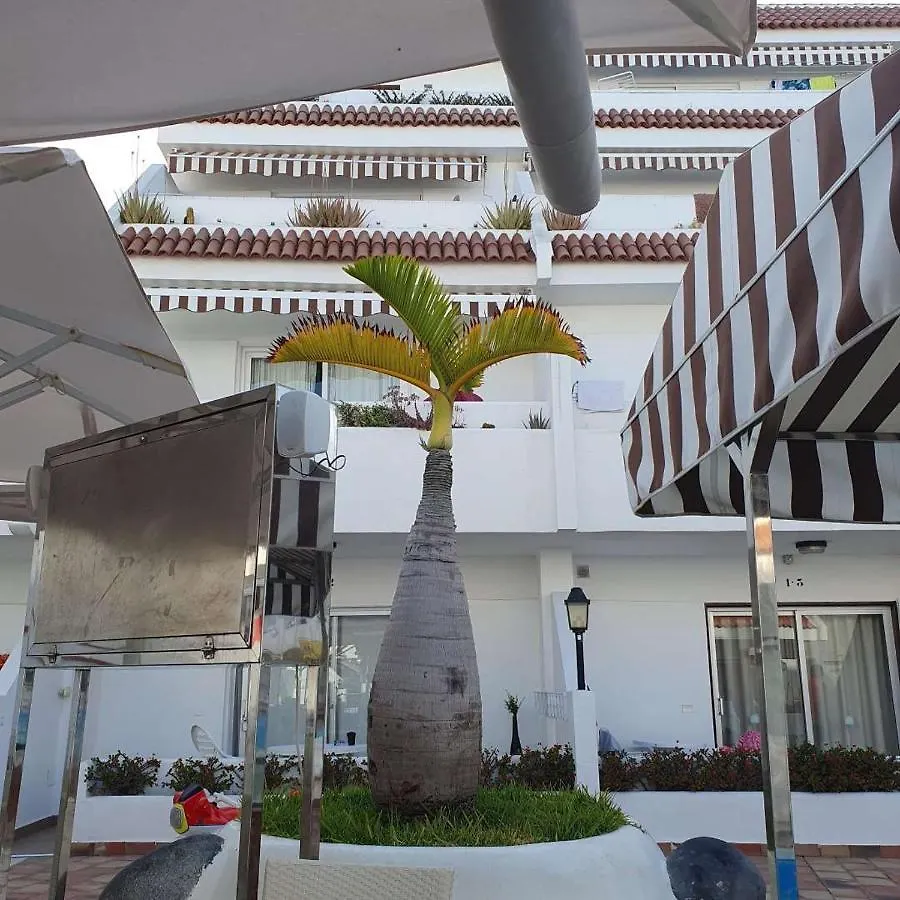 Apartmán Penthouse Ar Okeana Skatu Arona  Arona (Tenerife)